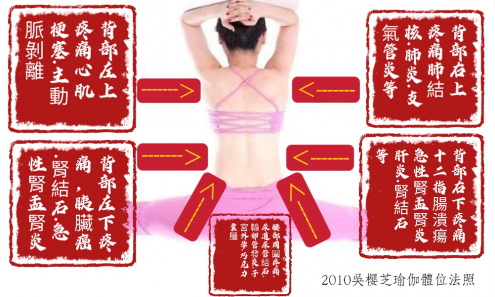 背部疼痛對應圖:吳櫻芝瑜伽