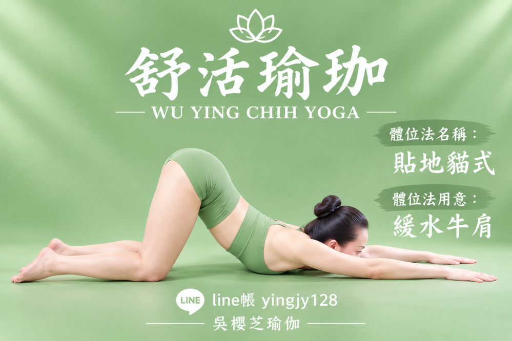 #瑜伽體位法:貼地貓式/#台中北屯瑜珈老師推薦 2026 #台中北屯瑜珈老師推薦 2026