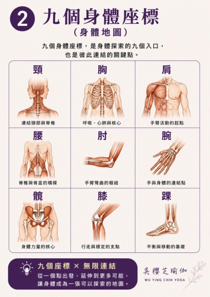 台中北屯瑜伽/九個身體部位 × 空間方向 × 動作探索