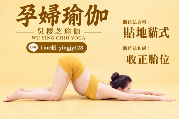 吳櫻芝瑜伽的圖片